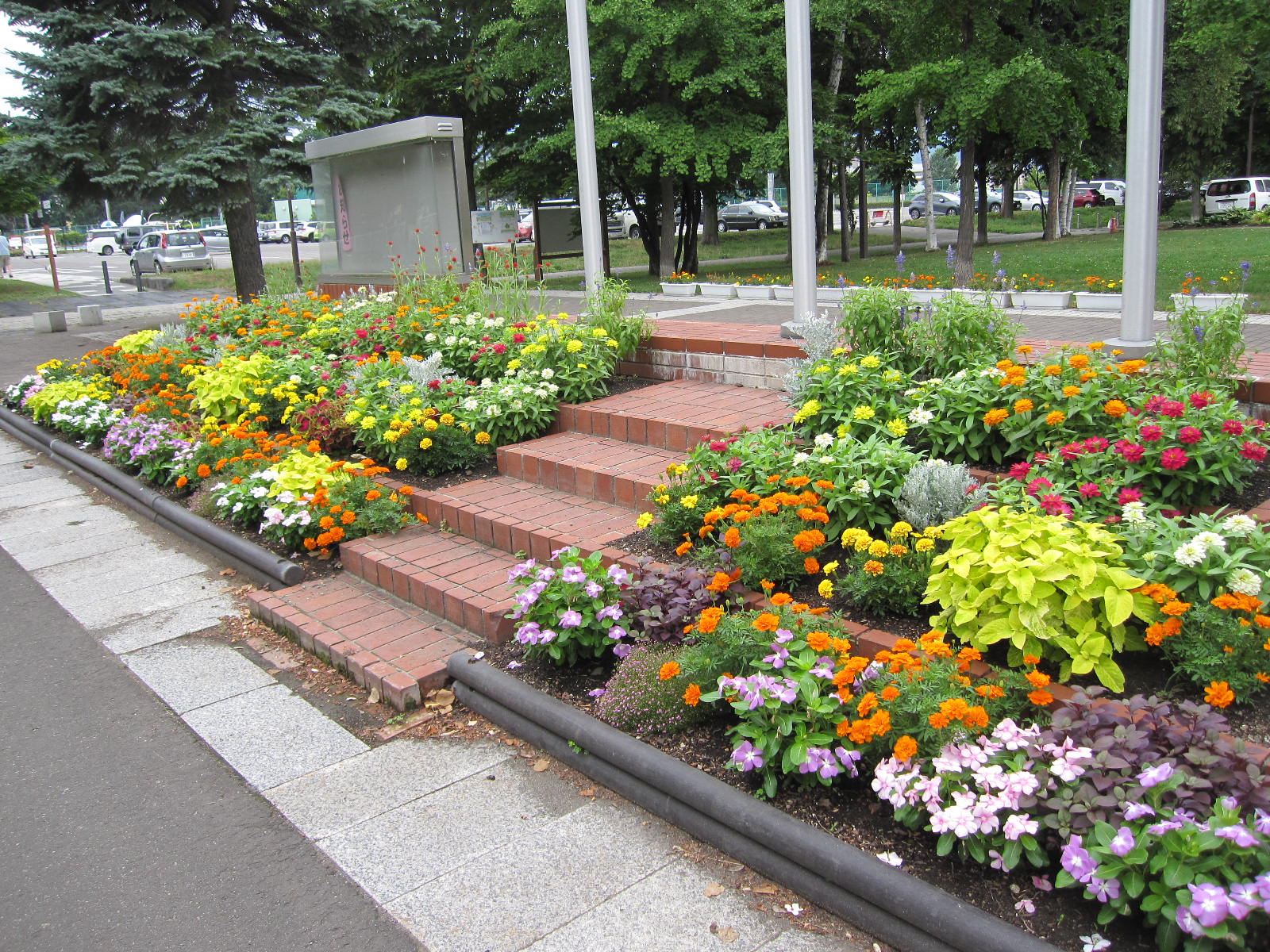 掲示板