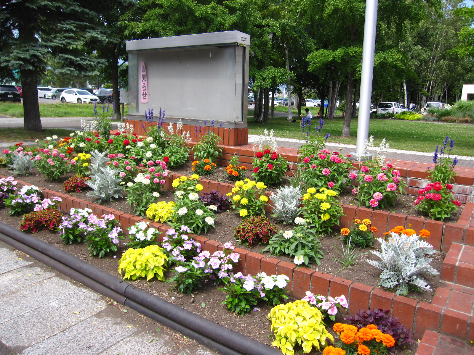 掲示板花壇