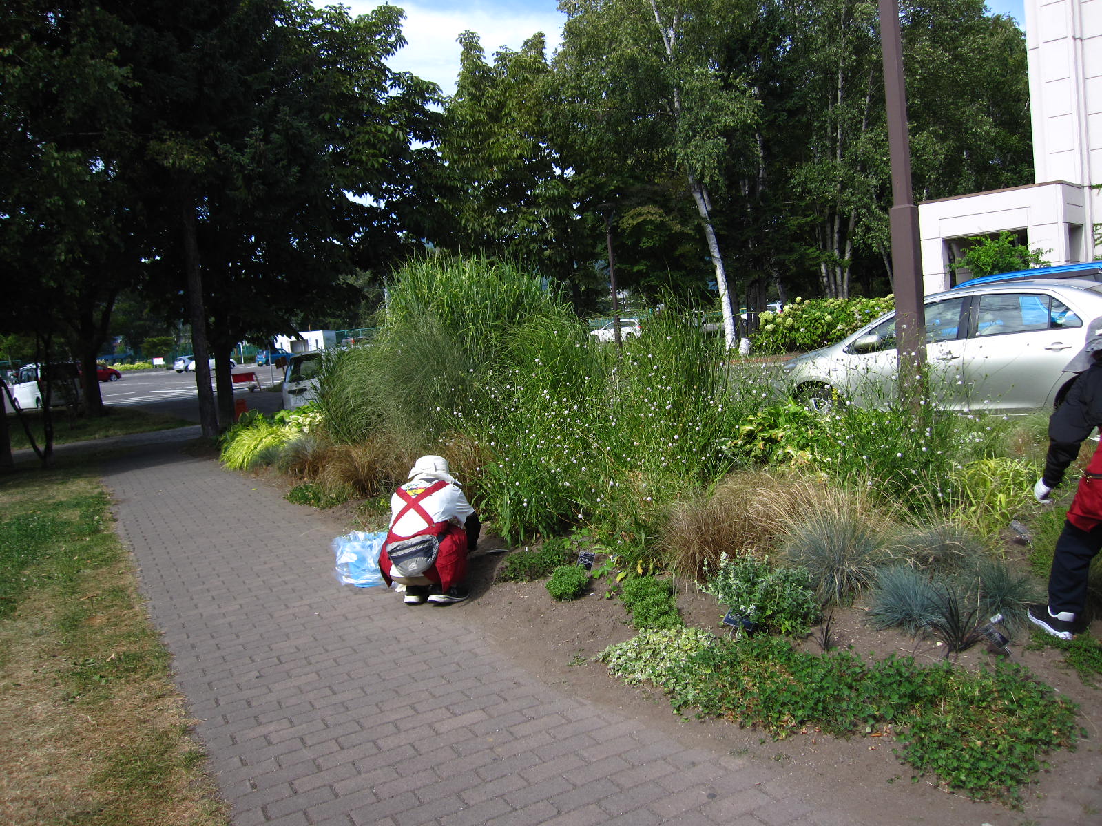 グラスガーデン